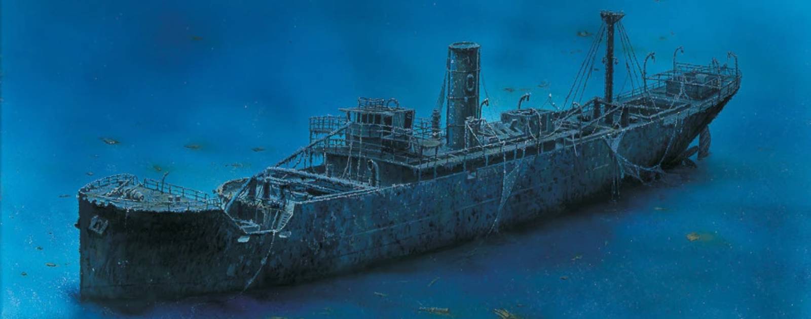 wreck_vis_01.jpg